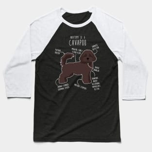 Chocolate Cavapoo Dog Anatomy Baseball T-Shirt